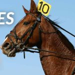 An overview of horse racing rules.
